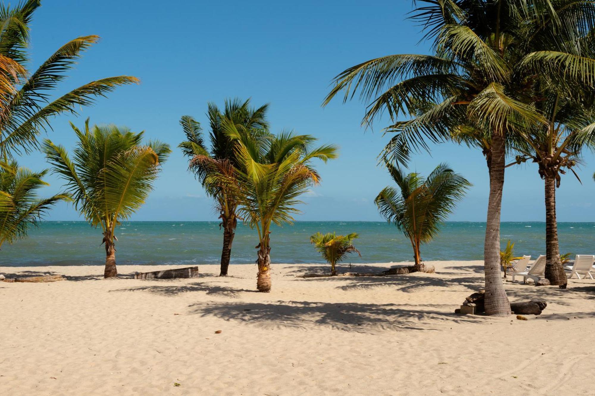Sandy Feet Beach Resort Placencia Εξωτερικό φωτογραφία